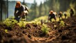 © visoot - A team of volunteers is engaged in forest reforestation. Generative AI.