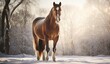 A Brown Horse in Winter's Embrace: A Tranquil Portrait of Equine Majesty in a Snowy Landscape,  the tranquil and ethereal beauty of the moment, capturing the essence of nature's quietude