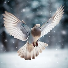 A Bird Flying In The Snow