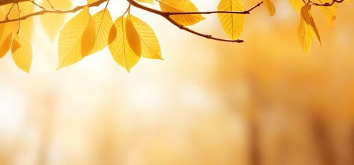 Wall Mural - close up orange leaves branch with sunlight and bokeh, peaceful Autumn and fall season foliage wallpaper background, Generative Ai
