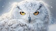  a close up of a white owl with yellow eyes and snow flakes on it's head and neck.