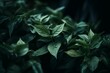 a close up of a green plant with leaves. Generative AI