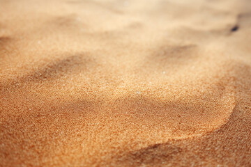 closeup photography of a beach carpet at a very beatiful beach with light sand and a paradisiac beach sea, beach, beach carpet, closeup, sand, lightsand, sea, paradisiac beach, paradisiac sea, show mo