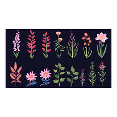 Canvas Print - set of plants flowers in flat style vector