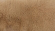 © Aarón - Seamless fluffy light brown fur texture background