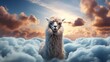 A lone alpaca against a backdrop of swirling, dynamic clouds.