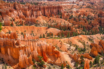 Canvas Print - Bryce Canyon National Park Sunset Point