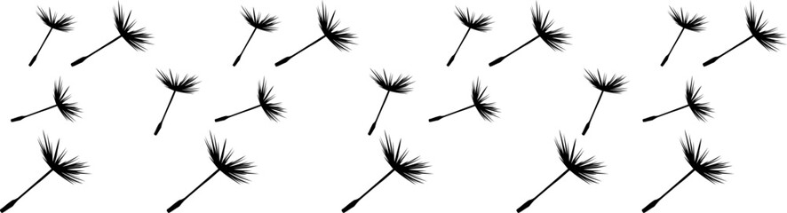 Wall Mural - dandelion plant illustration design vector