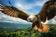 A Philippine Eagle soaring in the sky, showcasing its impressive wingspan and regal presence
