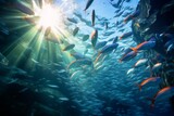 Fototapeta  - The beauty of underwater communities, schools of fish swimming in unison in the ocean currents.
