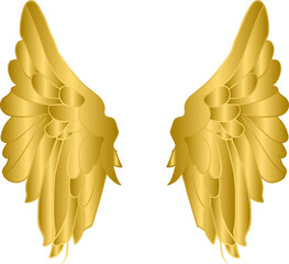 Poster - Golden angel wings, gold wings	