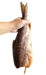 Poster - Smoked trout in hand isolated on white background