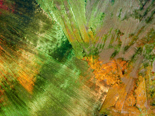 Wall Mural - Beautiful ice pattern and sunlight close up on window glass early in the morning, natural winter background