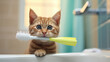 enjoying cleansing process, playful and wet cat