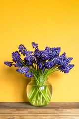 Canvas Print -  Minimal floral arrangement of a bouquet of blue flowers in a transparent vase on yellow. Happy mother's day, birthday, wedding composition. Blank greeting card, invitation and mockup.