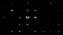 Template Animation Of Evenly Spaced Butterfly Symbols Of Different Sizes And Opacity. Animation Of Transparency And Size. Seamless Looped 4k Animation On Black Background With Stars