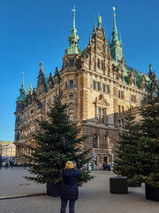 Wall Mural - Backside of the City Hall in Hamburg