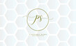 PS, SP, P, S Abstract Letters Logo Monogram