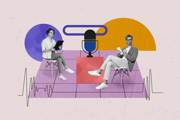 collage artwork graphics picture of journalist tacking interview successful person isolated painting
