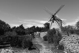 Fototapeta Natura - Moulin à vent 
