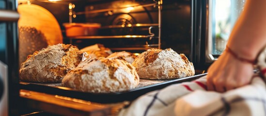 Wall Mural - Baker using potholder by oven with bread on cookie sheet.