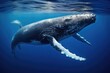 Humpback whale swimming in deep blue water. Underwater scene, Humpback whale underwater in the Caribbean, AI Generated
