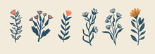 Set Of Elegant Silhouettes Of Flowers, Branches And Leaves. Thin Hand Drawn Vector Botanical Elements, Illustration