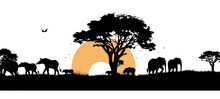 Black Silhouette Of Wild Animals, Trees And Sun, Isolated On Transparent Background.