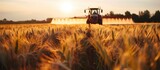 Fototapeta  - Spring view of pesticide sprayer on wheat field.