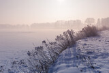 Fototapeta  - Krajobraz zimowy, mglisty świt