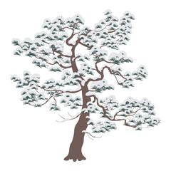 Wall Mural - Snow Covered Pine Tree Isolated on White