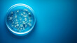 Petri dish with bacterial culture on blue background