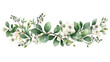 Branch with white flowers and green leaves. Suitable for nature and floral designs.