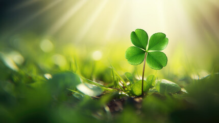 Canvas Print - Picture of four leaf clover lying in grass. This image can be used to represent luck or good fortune.