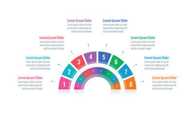 half circle infographic template. eight option informational templates. internet, annual report, web infographic template