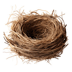 Wall Mural - bird nest isolated on white