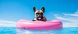 AI illustration of a pug perched atop an inflatable pink floatie, enjoying a day out on the water.