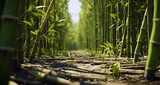 Fototapeta Fototapety do sypialni na Twoją ścianę - bamboo forest background, ai generated.