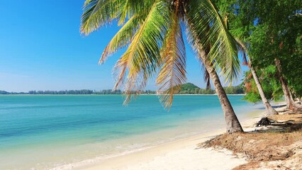 Wall Mural - beach and coconut palm trees. prachuap khiri khan, thailand