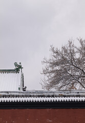 Wall Mural - Roof tile, red wall, bare tree with snow. Beijing, China