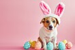 Happy dog with bunny ears for Easter, Banner for your advertisement, Easter bunny, happy Easter.