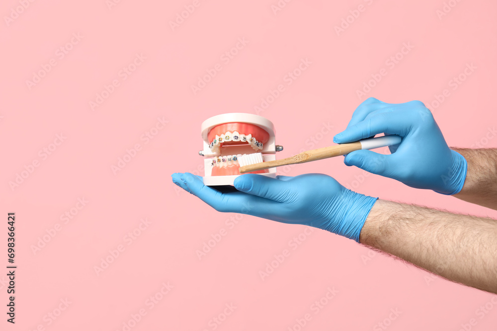 Male dentist hands with toothbrush and jaw model on pink background. World Dentist Day
