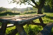 © Bipul Kumar - A weathered wooden bench in a grassy field