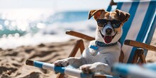 A Dog Wearing Sunglasses And A Blue Collar, Sitting In A Beach Chair.