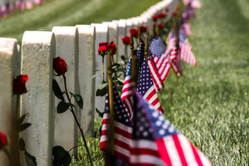 Wall Mural - Arlington National Cemetery, Washington D.C.