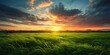Leinwandbild Motiv Green grass on evening sunset, morning dawn, spring nature theme. Panorama landscape background