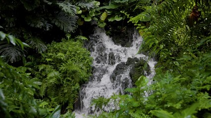 Fototapete - Small waterfall deep in the rainforest. Gimbal slow motion shot of jungle waterfall with crystal clean water