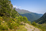 Fototapeta Kuchnia - A hiking path in the green countryside , in Europe, in France, Occitanie, in the Hautes-Pyrenees, in summer, on a sunny day.