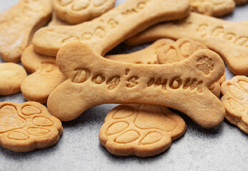 Wall Mural - Homemade dog biscuits