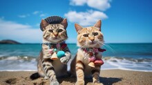 Two Playful Cats, Their Tails Raised In Excitement, Discover A Cluster Of Seashells On The Beach, Using Them To Create A Unique Photo Frame Around Their Selfie.